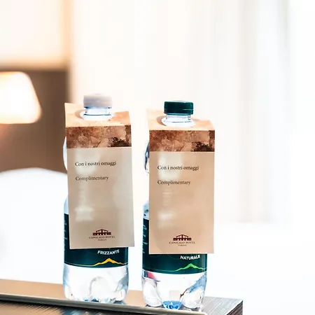 Hotel Capolago Hotel Capolago