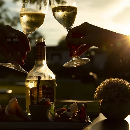 Hotel Hotel Capolago 4*